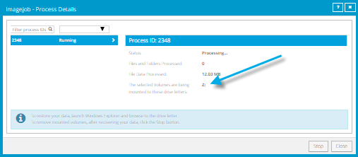 drive letter in Process Details box