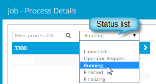 Process Details status list