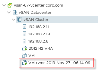 restored VM in vSphere environment