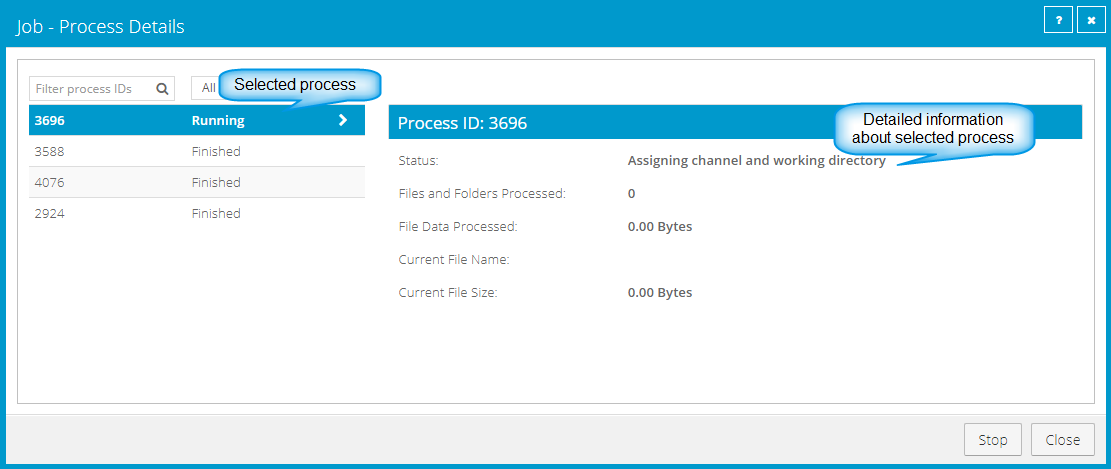 Process Details box