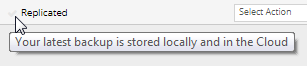 replication status message